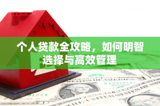 漯河个人贷款全攻略，如何明智选择与高效管理