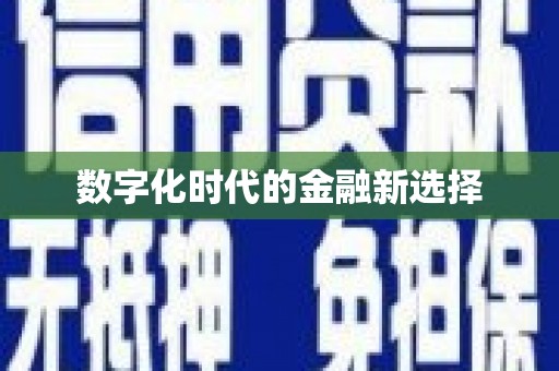 漯河数字化时代的金融新选择