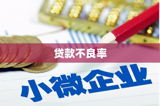 漯河贷款不良率