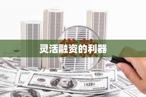 漯河灵活融资的利器
