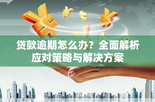 漯河贷款逾期怎么办？全面解析应对策略与解决方案