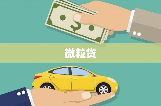 漯河微粒贷