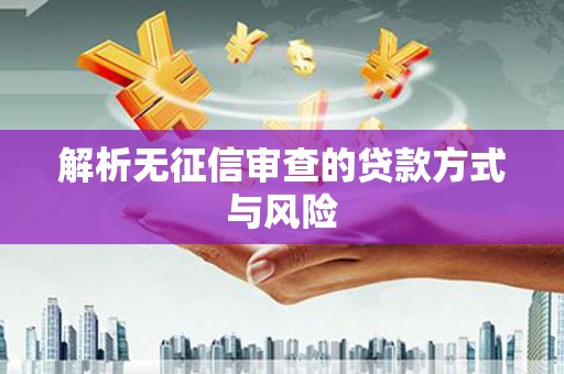 漯河解析无征信审查的贷款方式与风险
