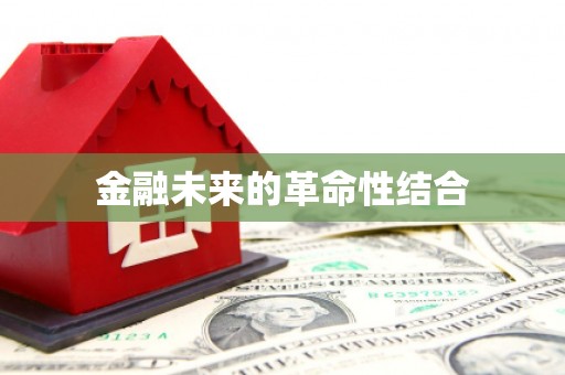 漯河金融未来的革命性结合