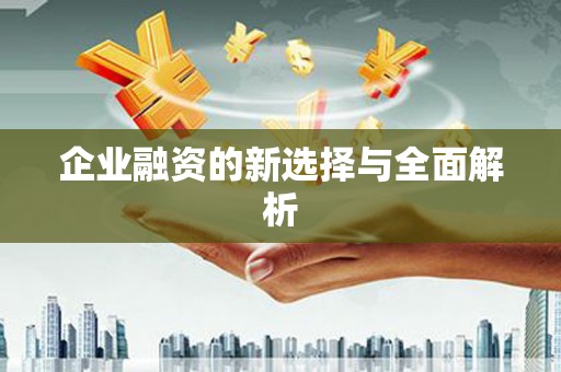 漯河企业融资的新选择与全面解析