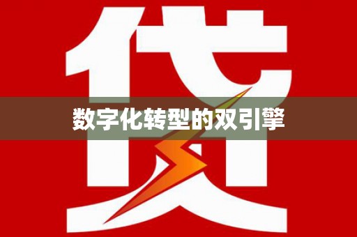 漯河数字化转型的双引擎