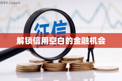 漯河解锁信用空白的金融机会