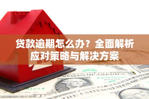 漯河贷款逾期怎么办？全面解析应对策略与解决方案
