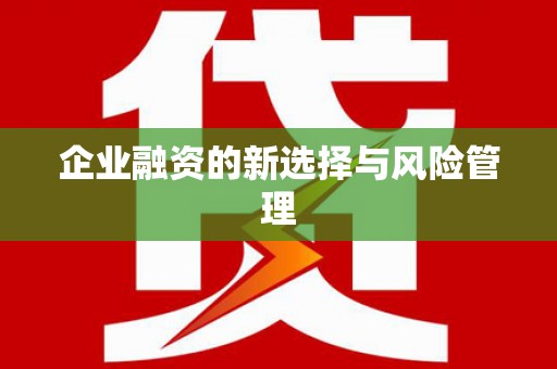 漯河企业融资的新选择与风险管理