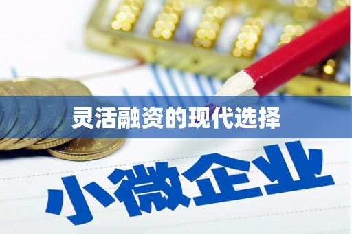 漯河灵活融资的现代选择