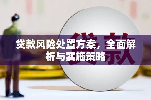 漯河贷款风险处置方案，全面解析与实施策略
