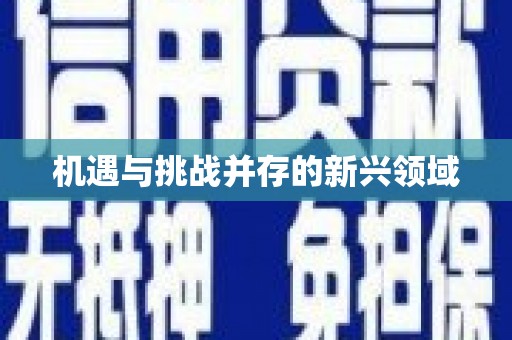 漯河机遇与挑战并存的新兴领域