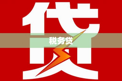 漯河税务贷