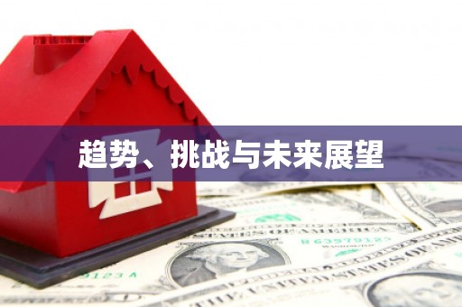 漯河趋势、挑战与未来展望