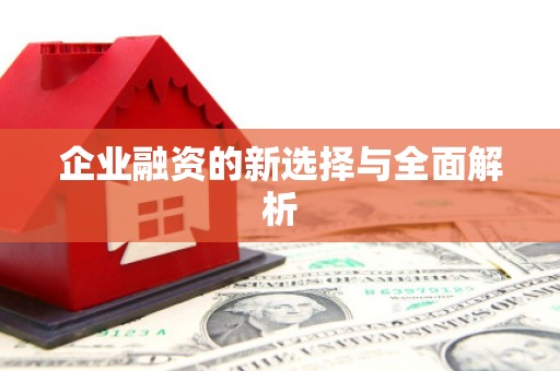 漯河企业融资的新选择与全面解析