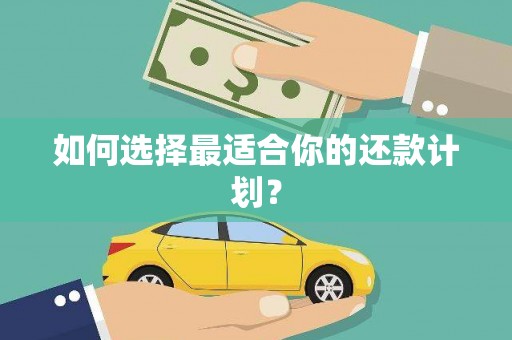 漯河如何选择最适合你的还款计划？