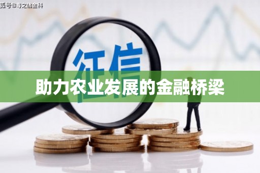 漯河助力农业发展的金融桥梁