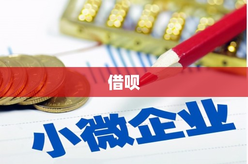 漯河借呗