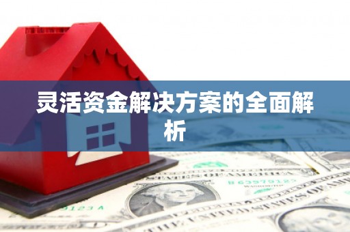 漯河灵活资金解决方案的全面解析