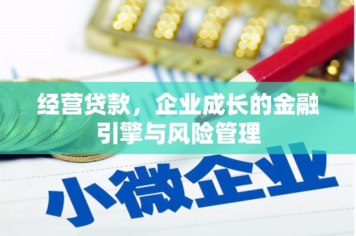 漯河经营贷款，企业成长的金融引擎与风险管理