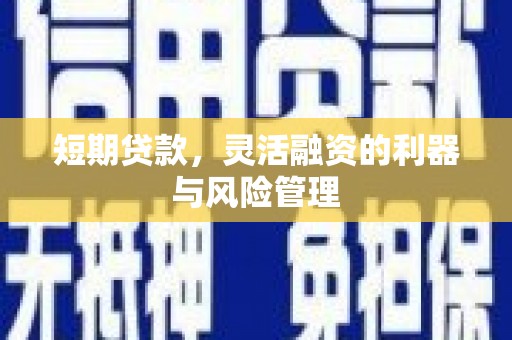 漯河短期贷款，灵活融资的利器与风险管理