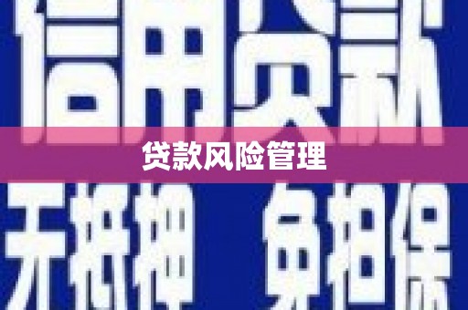 漯河贷款风险管理