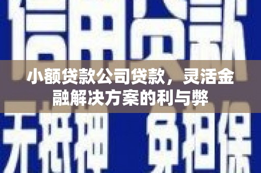 漯河小额贷款公司贷款，灵活金融解决方案的利与弊