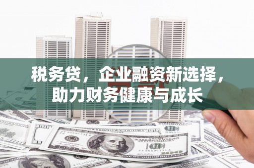 漯河税务贷，企业融资新选择，助力财务健康与成长