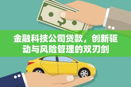 漯河金融科技公司贷款，创新驱动与风险管理的双刃剑