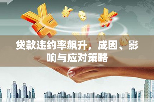 漯河贷款违约率飙升，成因、影响与应对策略